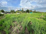 รหัสทรัพย์ : AK020822-04 ขายที่ดิน 200 ตร.ว หนองจอก  เชื่อมสัมพัน ซอย 17 กทม.