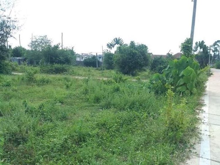 รหัสทรัพย์ : AK070822-03  ขายที่ดิน  13ไร่ ต.ห้วยใหญ่ อ.บางละมุง, ภาพที่ 4