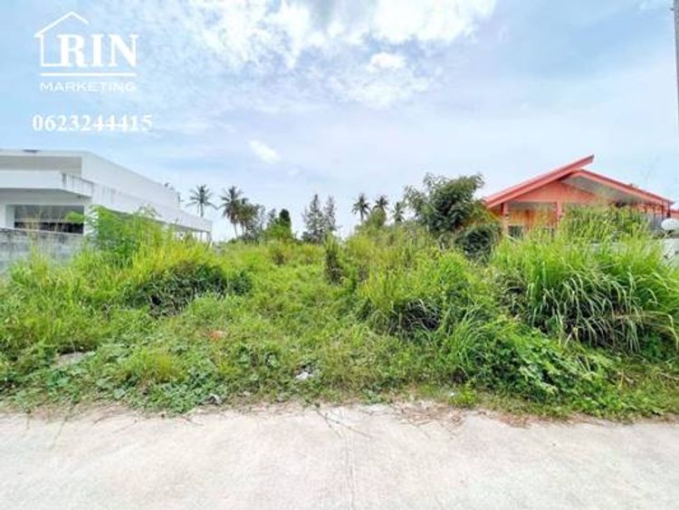 รหัสทรัพย์ : AK240722-01 ที่ดินเปล่า 100 ตร.วา มาบฟักทอง ห้วยใหญ่, ภาพที่ 4