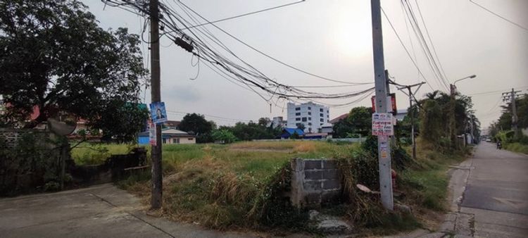 ให้เช่า ที่ดินถมแล้ว  ลาดพร้าว 80 เนื้อที่ 510 ตร.วา ทำเลดี  , ภาพที่ 4