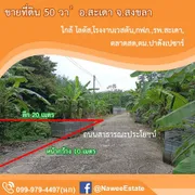 R09-03 ขายถูก ที่ดิน สะเดา สงขลา เนื้อที่ 50 ตร.วา เพียง 299,000 บาท ใกล้โลตัส 7-11 ติดต่อ 086 327 1289 (นก)