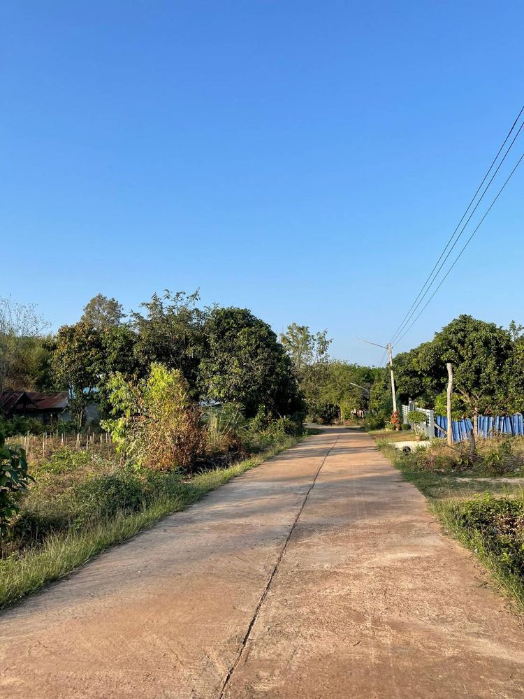 ขายที่ดินใกล้เขื่อนน้ำอูน อยู่ตำบลแร่ อำเภอพังโคน จังหวัดสกลนคร, ภาพที่ 4