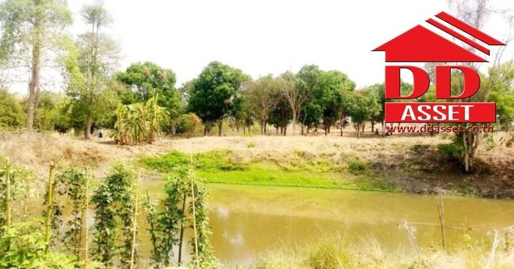 ขาย ที่ดิน ตำบลแม่ปะ อำเภอแม่สอด จังหวัดตาก, ภาพที่ 4