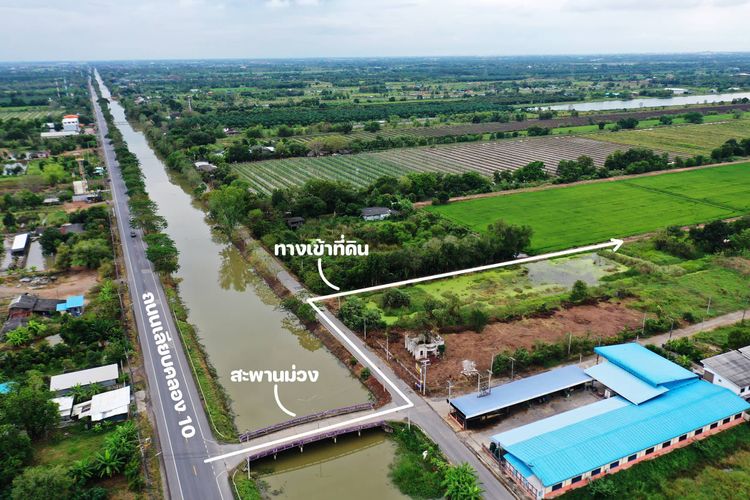 ขายที่ดินคลอง 10 ในซอย สะพานม่วง  กม.6  ต.บึงบา อ.หนองเสือ จ.ปทุมธานี, ภาพที่ 4