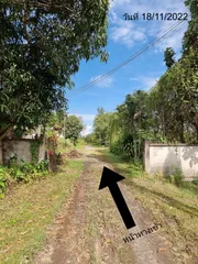 ขาย ที่ดิน ตำบลแม่แรม อำเภอแม่ริม จังหวัดเชียงใหม่