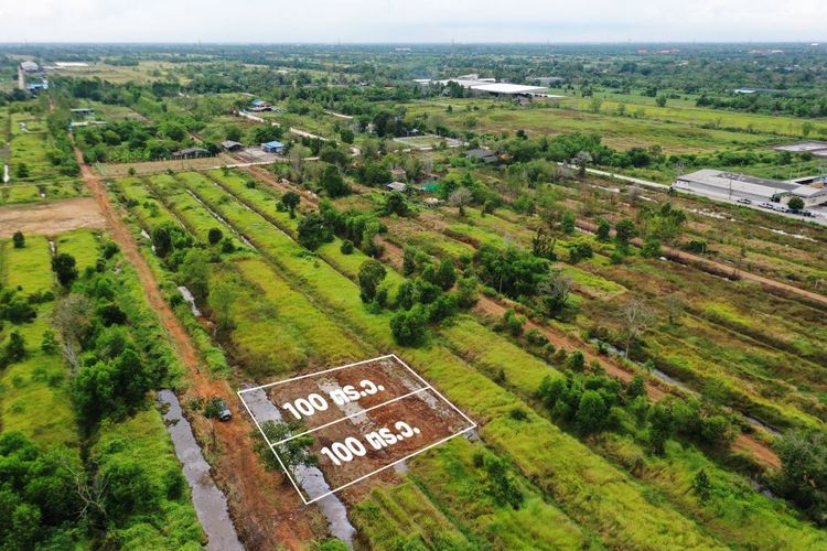 ขายที่ดิน ใกล้ Siam Original Food คลอง 10 ฝั่งตะวันออก , ภาพที่ 4