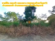 ขาย ที่ดิน ตำบลคลองห้า อำเภอคลองหลวง จังหวัดปทุมธานี