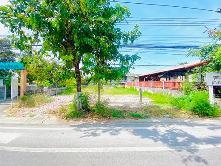 ขายที่ดิน 82 ตรว. ติดถนนเพชรหึงส์ (คุ้งบางกระเจ้า) ต.บางกอบัว , ภาพที่ 4