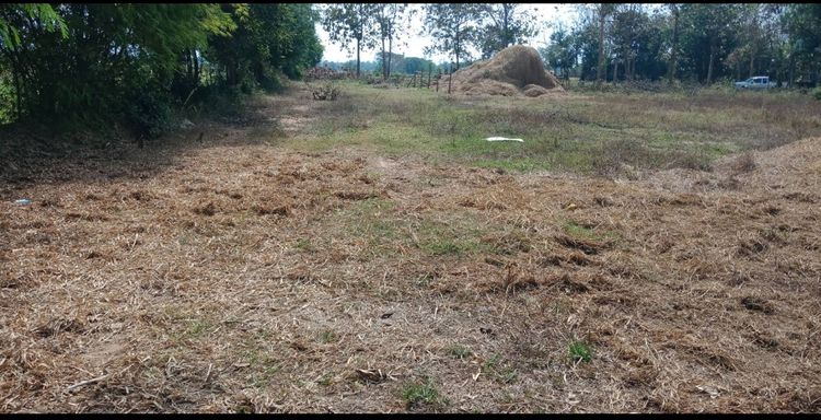 ขาย ที่ดิน ตำบลเวียงทอง อำเภอสูงเม่น จังหวัดแพร่, ภาพที่ 4