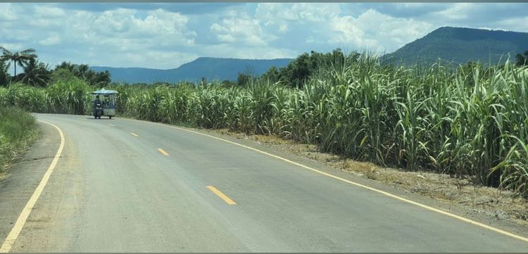 ขาย ที่ดิน ตำบลวังไทร อำเภอปากช่อง จังหวัดนครราชสีมา, ภาพที่ 4
