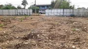 ต้องการขาย ที่ดิน ที่ดิน ลาดหลุมแก้ว  6544000 THAI BAHT ใกล้กับ 1. สำนักงานเทศบาลตำบลคูขวาง 2. หมู่บ้านทรัพย์แสนดี 3. บ.ปีราเน่เชน บรรยากาศส่วนตัว