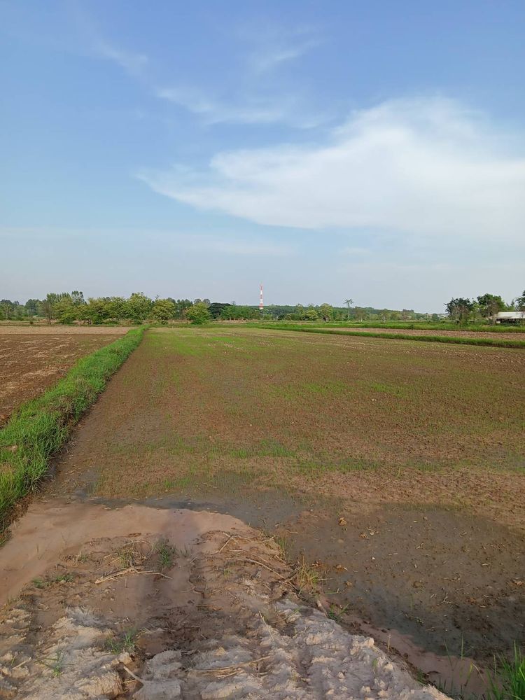 ขาย ที่ดิน ตำบลปลาโหล อำเภอวาริชภูมิ จังหวัดสกลนคร, ภาพที่ 4