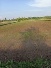 ขาย ที่ดิน ตำบลปลาโหล อำเภอวาริชภูมิ จังหวัดสกลนคร