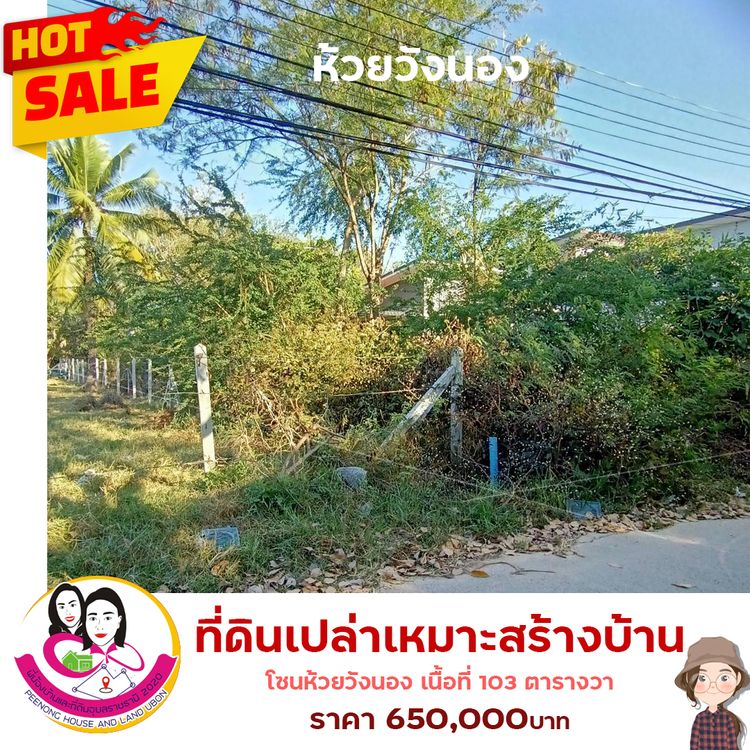 ขายที่ดินเปล่า เหมาะสร้างบ้านพักอาศัย ห้วยวังนอง ต.ปทุม อ.เมือง จ.อุบล, ภาพที่ 4