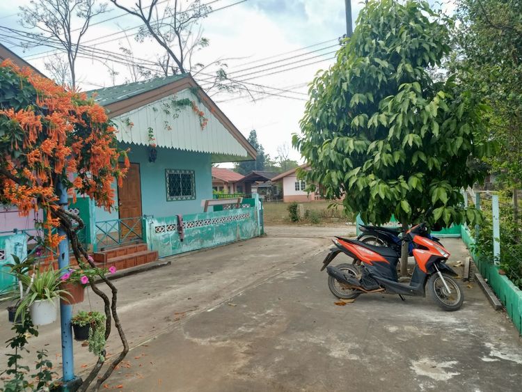 ขาย บ้าน ในโครงการ บ้านเช่าปากช่อง เขาใหญ่ 110 ตรว. พร้อมห้องเช่า 3, ภาพที่ 4