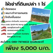ให้เช่า ที่ดิน 1 ไร่ แขวงลำต้อยติ่ง เขตหนองจอก กรุงเทพมหานคร