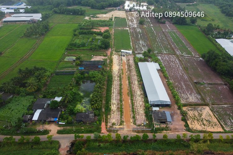 ขายที่ดินเปล่า หนองปรือ พนัสนิคม โฉนดเกือบ 9 ไร่ ที่ถมแล้ว ใกล้ทางหลวง, ภาพที่ 4