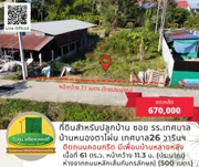 ขายที่ดินสำหรับปลูกบ้าน เดินทางสะดวก ซอยข้างโรงเรียนเทศบาลบ้านหนองตาโผ่น เทศบาล 26 วารินฯ