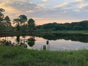 ขาย ที่ดิน ตำบลวังโตนด อำเภอนายายอาม จังหวัดจันทบุรี
