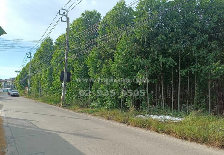 ขายที่ดิน 3-2-27 ไร่ ซอยวัดลาดปลาดุก ถนนกาญจนาภิเษก อำเภอบางใหญ่, ภาพที่ 4