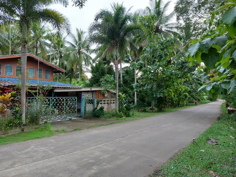 ขาย ที่ดิน ตำบลขุนกระทิง อำเภอเมืองชุมพร จังหวัดชุมพร, ภาพที่ 4