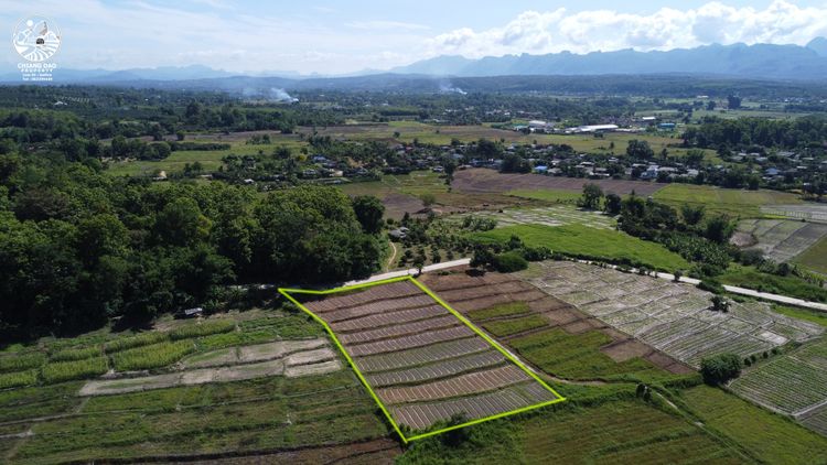 ขาย ที่ดิน2ไร่2งาน ตำบลแม่นะ อำเภอเชียงดาว จังหวัดเชียงใหม่, ภาพที่ 4