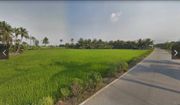 ขายด่วน!!!ที่ดินจัดสรรสำเร็จรูป คลองสี่,​ คลองหลวง​ ปทุมธานี​