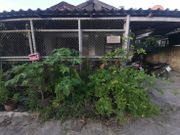 ขาย ทาวน์โฮม ตำบลหนองจรเข้ อำเภอหนองแค จังหวัดสระบุรี