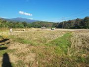 ขาย ที่ดิน ตำบลปางหมู อำเภอเมืองแม่ฮ่องสอน จังหวัดแม่ฮ่องสอน