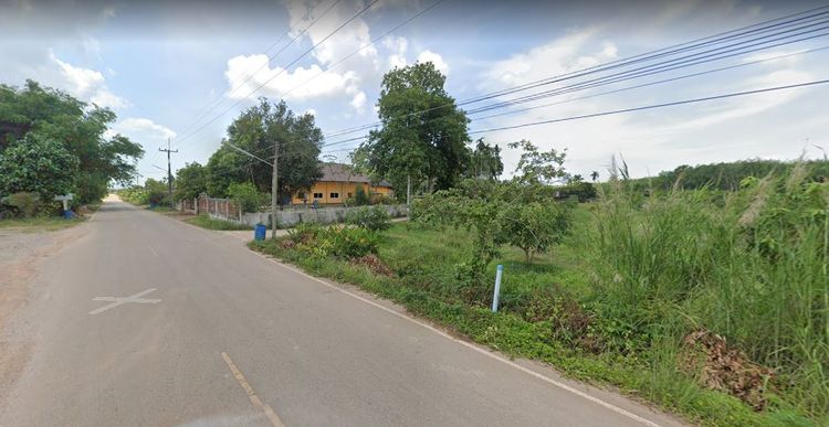 ขายสวนผลไม้ผสม ไร่ละ 0.5 ล้านบาท มี 31 ไร่ พร้อมบ้าน1 หลัง ต.พังราด , ภาพที่ 4