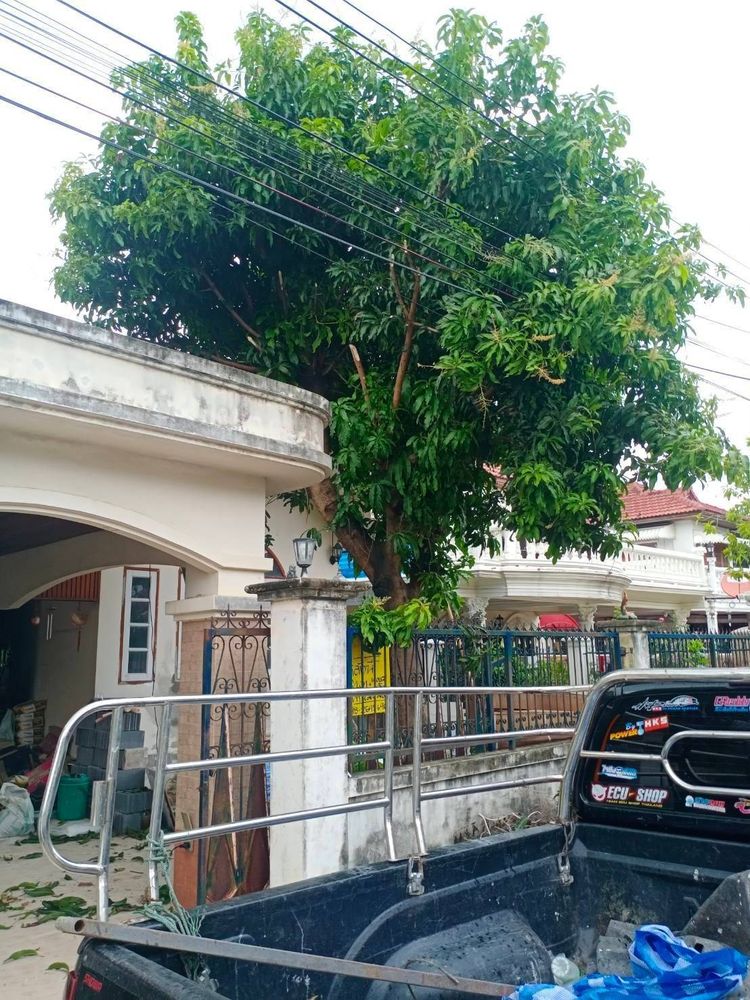 บ้านกำลังรีโนเวท บ้านเดียวชั้นเดียว มีเทอเรสหลังบ้านและพร้อมหลังคา 30  , ภาพที่ 4