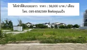 ให้เช่า ที่ดิน แขวงพระโขนงใต้ เขตพระโขนง กรุงเทพมหานคร