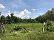 ขาย ที่ดิน ตำบลนาเตย อำเภอท้ายเหมือง จังหวัดพังงา