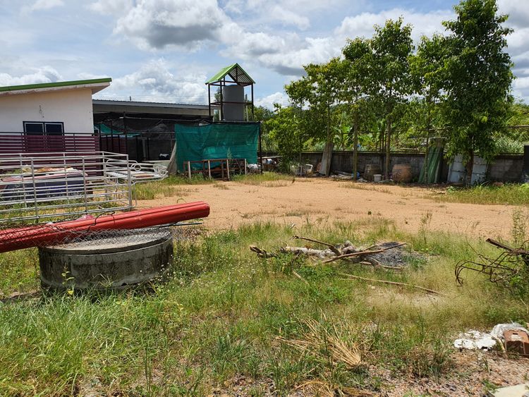 ขาย ที่ดิน ตำขายที่ดิน นิคมพัฒนา 85 ตร.ว., ภาพที่ 4