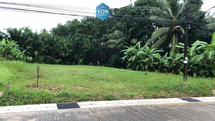 ที่ดินเปล่า 176 ตรว. ไม้ขาว ภูเก็ต ห่างจากถนนเทพกระษัตรี 200 เมตร , ภาพที่ 4