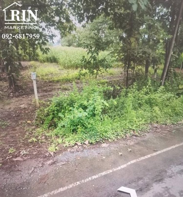 R059-292​ ขายที่ดิน จังหวัดน่าน ห่าง วัดพระธาตุแช่แห้ง 15 นาที  ติดถนน , ภาพที่ 4