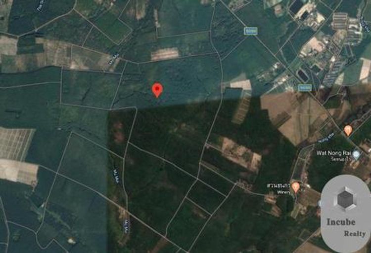 P33LA2003040 ขายที่ดิน หนองไร่ 2,009-1-43.9 ไร่ 2310.764 ล้านบาท, ภาพที่ 4