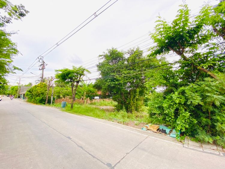 ขายที่ดิน 236 ตรว. ซอยเพชรหึงส์ 23 (คุ้งบางกระเจ้า) อำเภอพระประแดง , ภาพที่ 4