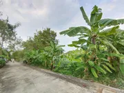 ขาย ที่ดิน 99 ตร.ว. ซอย คู้บอน 25 แยก 2 รามอินทรา คันนายาว