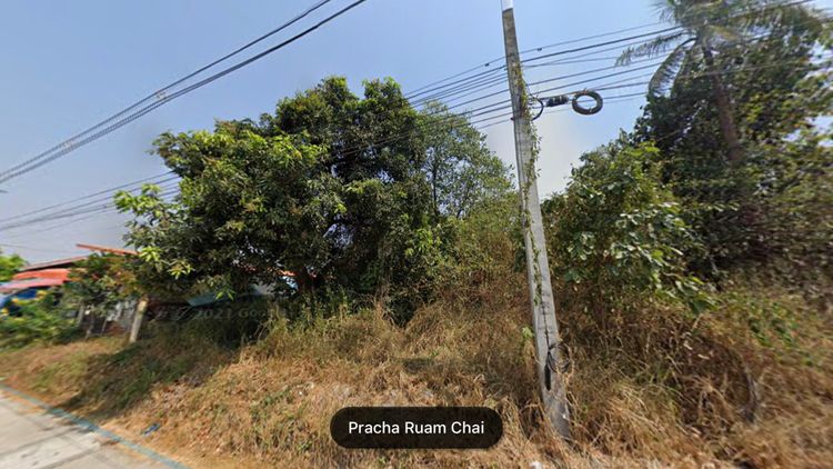 ขาย ที่ดิน ตำบลหนองรี อำเภอเมืองชลบุรี จังหวัดชลบุรี, ภาพที่ 4