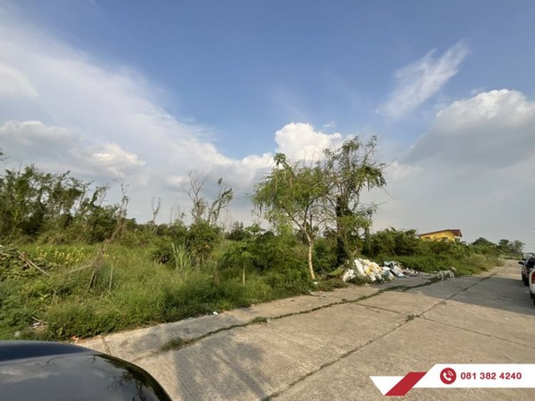 ขายที่ดิน โครงการจัดสรร ม.ไมตรีจิต ซอยเลียบวารี69 96 ตร.ว หนองจอก, ภาพที่ 4