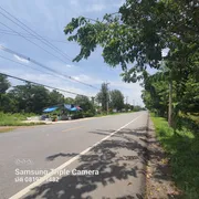 ขายด่วน.. ที่ดิน  101-1-3 ไร่   ต.บึงบา อ.หนองเสือ จ.ปทุมธานี