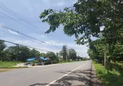 ขายที่ดินคลอง 10 หนองเสือ ถนนรังสิต-นครนายก อำเภอหนองเสือ ปทุมธานี