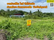 ขาย ที่ดินใกล้วัดโปรยฝน ตำบลบึงบา อำเภอหนองเสือ จังหวัดปทุมธานี