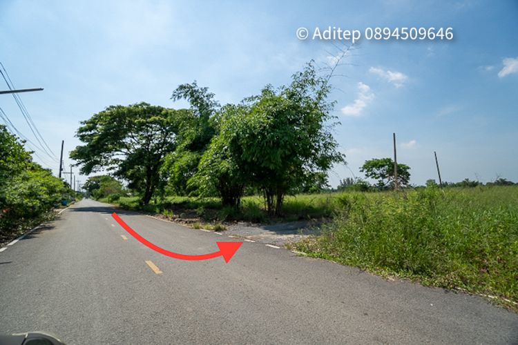 ที่ดิน คลองแปด แบ่งขาย 2 แปลง แปลงละ 100 ตรว. ใกล้ถนนรังสิต-นครนายก , ภาพที่ 4