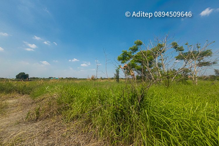 ขาย ที่ดิน 100 ตารางวา หนองเสือ คลองแปด ใกล้ถนนรังสิต-นครนายก, ภาพที่ 4