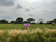 ขาย ที่ดิน แขวงโคกแฝด เขตหนองจอก กรุงเทพมหานคร