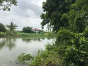 ขายที่ริมน้ำสามโคก ติดคลองบ้านกระแชง สามโคก ปทุมธานี 250 ตร.ว ติดถนนคอนกรีต ที่อยู่ห่างจากแม่น้ำเจ้าพระยาประมาณ 900 ม. พายเรืออกไปเจ้าพระยาได้ ขายถูก 0879074045