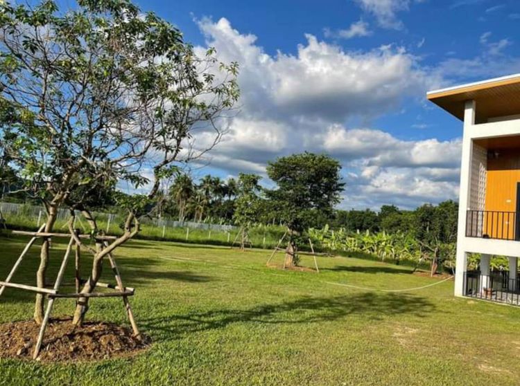 ขายที่ดินพร้อมบ้านเขาใหญ่ หมูสี 1ไร่ วิวดีมาก ใกล้ Toscana 6 กม 3 กม., ภาพที่ 4