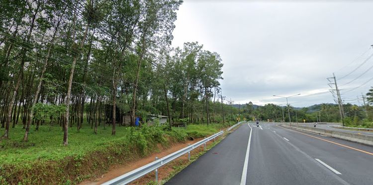 ขายด่วนที่ดิน 10 ไร่ ตำบลบางม่วง อำเภอตะกั่วป่า จังหวัดพังงา, ภาพที่ 4